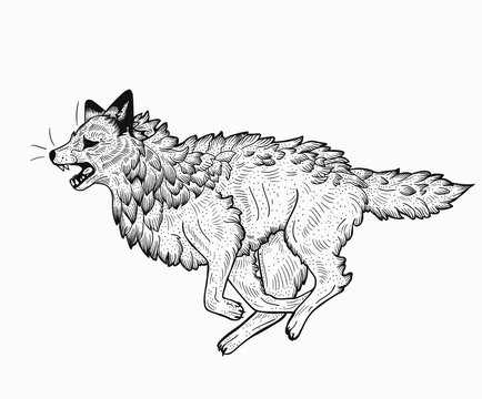 running wolf isolated vector illustration in linocut style. Vintage book illustration. Use for your creative graphic design projects, lithographs, postcards, invitations, tattoos.