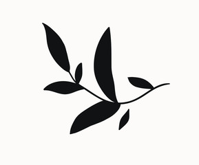 floral element silhouette graphics. hand drawn simple botanical plant illustrations for minimalistic graphic design projects. feminine logo elements, wedding invitation clip art for your creativity.