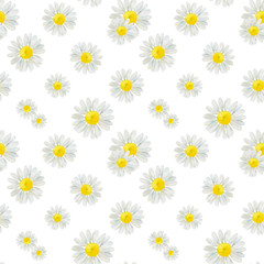 Watercolor hand drawn seamless pattern with wild meadow flower chamomile isolated on white background. Good for textile, wrapping paper, background, summer design etc.