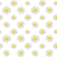 Watercolor hand drawn seamless pattern with wild meadow flower chamomile isolated on white background. Good for textile, wrapping paper, background, summer design etc.