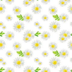 Watercolor hand drawn seamless pattern with wild meadow flower chamomile and leaves isolated on white background. Good for textile, wrapping paper, background, summer design etc.