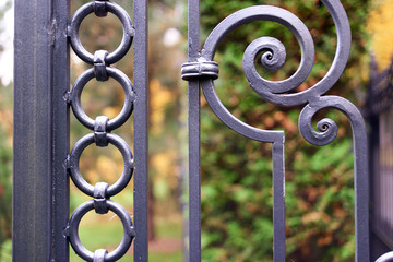 Part of decorative metal fence. Blurred park trees on background.