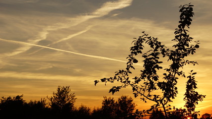 Chmura © Krzysztof Gebarowski