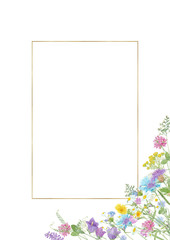 Watercolor hand drawn floral summer composition with  wild meadow flowers (clover, cornflower, tansy, cow vetch, chamomile, chicory) and gold frame with copy space isolated on white background