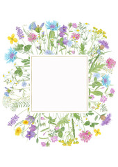 Watercolor hand drawn floral summer square composition with  wild meadow flowers (clover, cornflower, tansy, cow vetch, chamomile, chicory) and gold frame with copy space isolated on white background