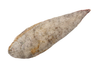 Sole fish on white background