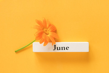 One orange calendula flower and calendar summer month June on yellow background. Top view Copy space Flat lay Minimal style. Concept Hello June Template for your design, greeting card - obrazy, fototapety, plakaty