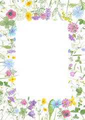 Fototapeta na wymiar Watercolor hand drawn floral summer square frame with copy space and wild meadow flowers (clover, bluebell, cornflower, tansy, chamomile, cow vetch, dandelion) and grass isolated on white background