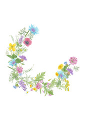 Watercolor hand drawn floral wreath with wild meadow flowers (clover, poppy, cornflower, tansy, chamomile, cow vetch) and grass isolated on white background