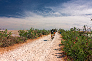 Some tourists go along a dirt road by bicycle in the lagoons of Camargue, France.