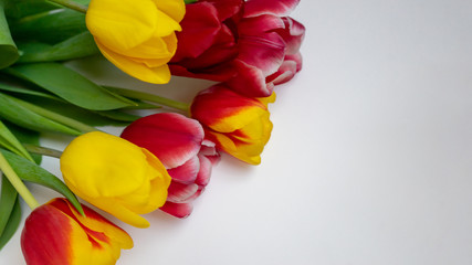Pink and yellow tulips on a light background.