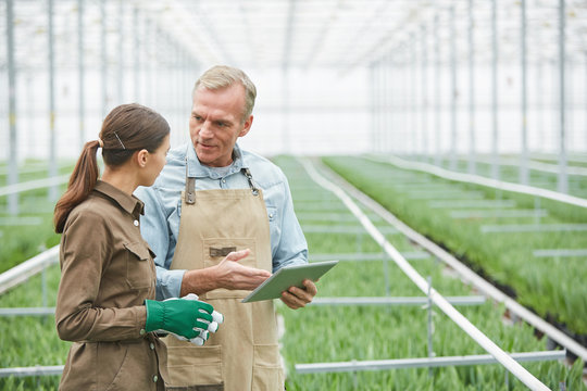 Waist up portrait of mature worker using digital tablet while instructing young trainee in greenhouse plantation, copy space - Powered by Adobe