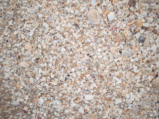 Abstract background of many break shells