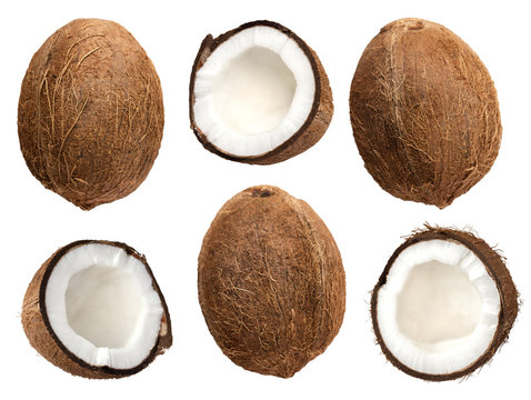 coconut isolated on the white background .