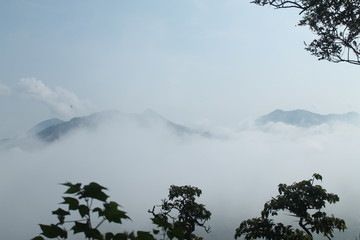 Obraz na płótnie Canvas mountain forest cloud