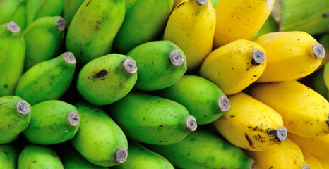 Fresh bananas selling at market