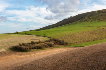 Fototapeta na wymiar Rolling hills in the South Downs on a sunny early winters day
