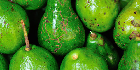 Fresh Avocado selling at market