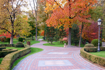 Cobblestone pavement in autumnal city park. Empty pathway.