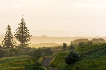 Hazy New Zealand green landscape 