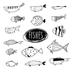 Vector black and white hand-drawn contour children`s set with different fish in the Scandinavian style on a white background. Children's coloring book with fish. Undersea world. Sea inhabitants.