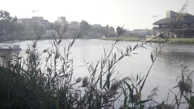 Yarkon river in the city of Tel Aviv, Israel during spring morning