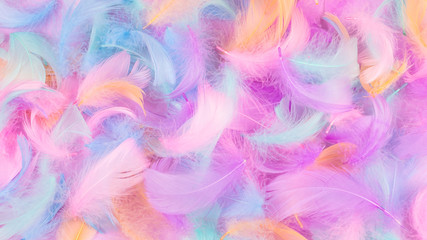 Fototapeta na wymiar Colorful feather background