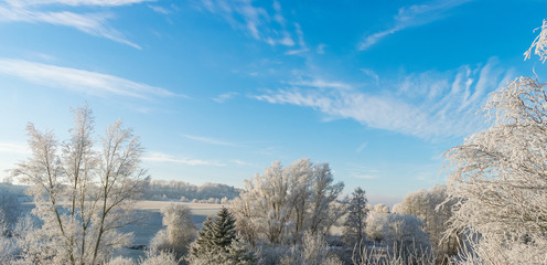Die Bäume sind von Eis überzogen. Die weiße Winterlandschaft wirkt vor dem blauem Himmel besonders prächtig. 