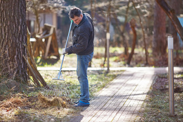 Gardener raking fall leaves in garden. Copy space.