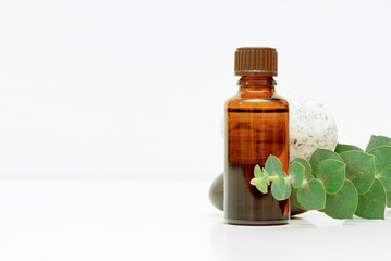 Eucalyptus essential oil in the bottle over white background.