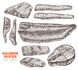 Set of salmon vector fillet. Fish steak slice for bbq. Hand drawn illustration. Collection meat food product