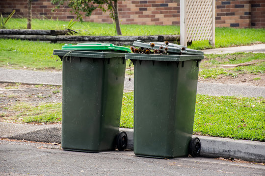 Australian garbage wheelie bins with green lids filled with green garden waste lined up on the street kerbside for council rubbish collection