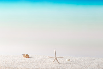 Fototapeta na wymiar beach background, summer background concept
