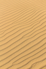 Abstract yellow sand desert background with copy space. Europe desert in Ukraine.