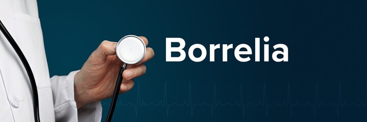 Borrelia. Arzt im Kittel hält Stethoskop. Das Wort Borrelia steht daneben. Symbol für Medizin,...