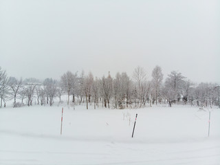 straight on view of a clump of trees and bushes growing on snow covered grounds on a cold foggy day