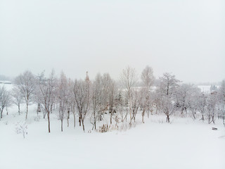 straight on view of a clump of trees and bushes growing on snow covered grounds on a cold foggy day