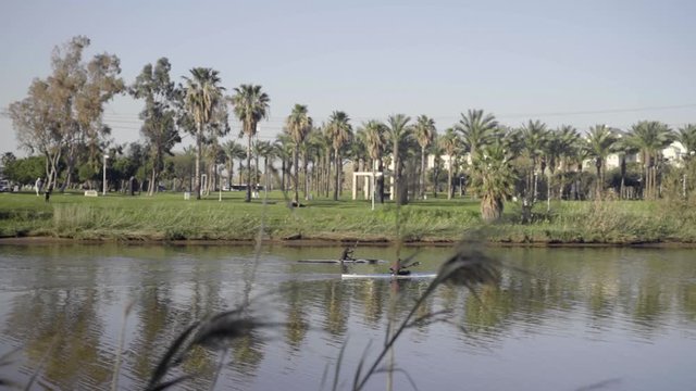 People with rowing boats pass by in the Yarkon river and park