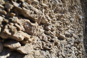 texture of bark of a tree