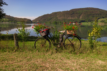 Une vieille bicyclette à la retraite au bord du Rhône.