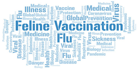Feline vaccination word cloud on white background. © sharafmaksumov