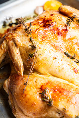 Grilled chicken on the pan with spices, garlic, thyme and lemon slices. Selective focus. Shallow depth of field.