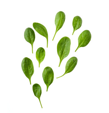 Different spinach leaves on a white background, isolated.