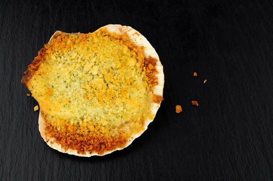 Coquille St Jacques scallop shellfish filled with white wine and cheese cream sauce, topped with breadcrumbs on a slate stone background
