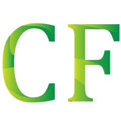 Comorian Frank of Comoros currency symbol icon vector illustration on a white background