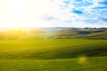 Green Field and Beautiful Sunset. field of spring grass and forest