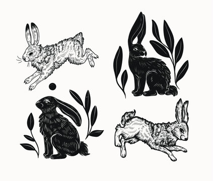 Rabbit Tattoo Images – Browse 7,542 Stock Photos, Vectors, and Video |  Adobe Stock