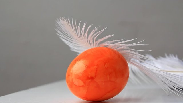 an orange egg under a white fluffy ostrich feather on a dark blue background, easter concept
