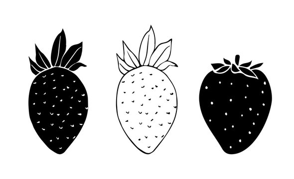 Strawberry fruit illustration outline and silhouette isolated on white