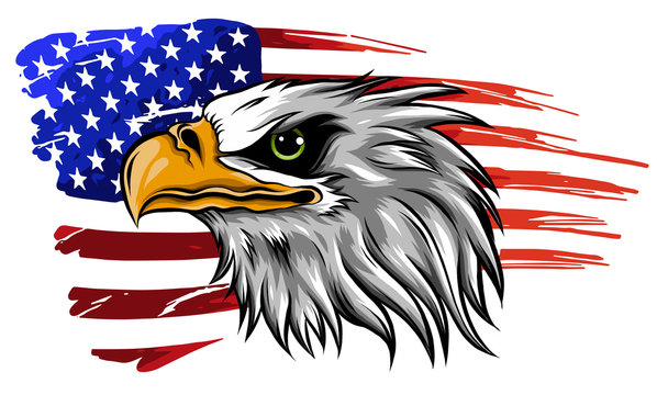American Bald Eagle Illustration Vector Against Flag